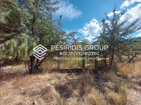 Parcel 1.240sqm for sale-Stagiron - Akanthou » Olimpiada