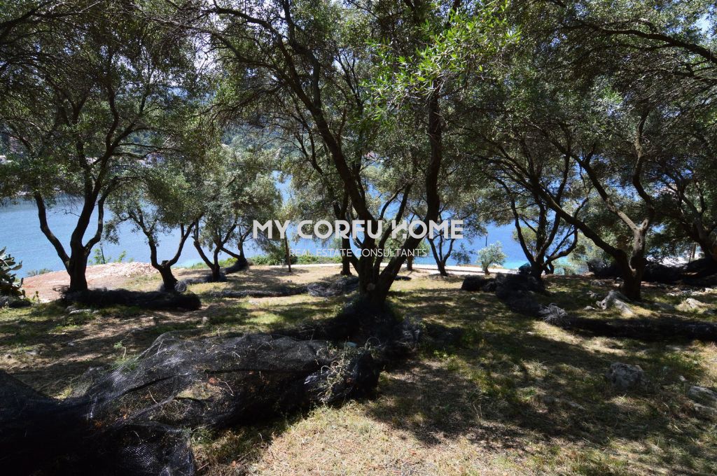 Οικόπεδο 4.377 τ.μ. πρός πώληση, Ν. Κέρκυρας, Κέρκυρα