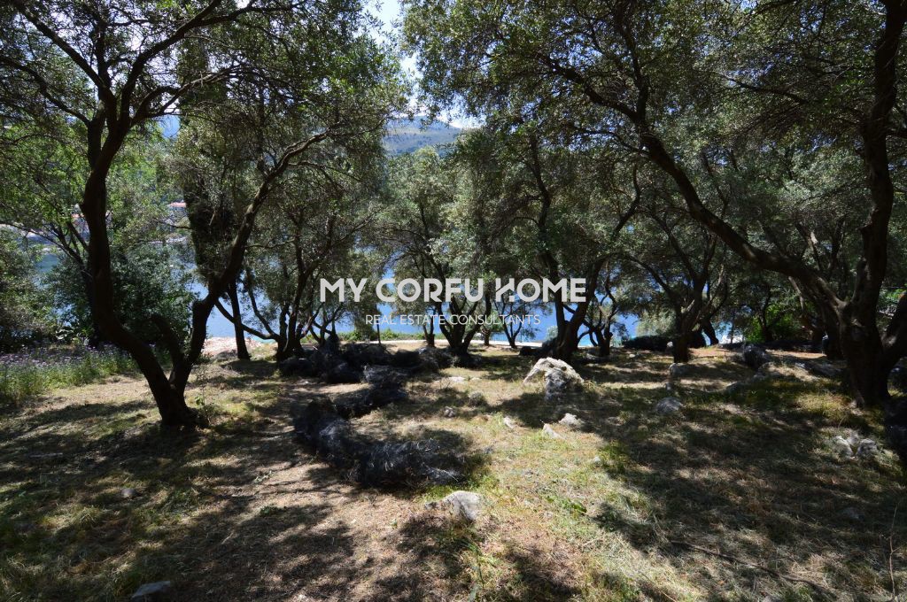 Οικόπεδο 4.377 τ.μ. πρός πώληση, Ν. Κέρκυρας, Κέρκυρα