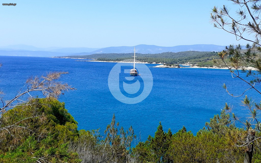 Οικόπεδο 608.000 τ.μ. προς πώληση, Πορτοχέλι