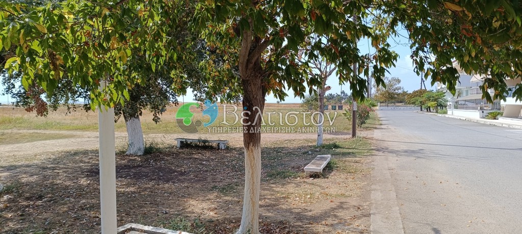 Οικόπεδο 4.600 τ.μ. πρός πώληση, Χαλκιδική, Τριγλία