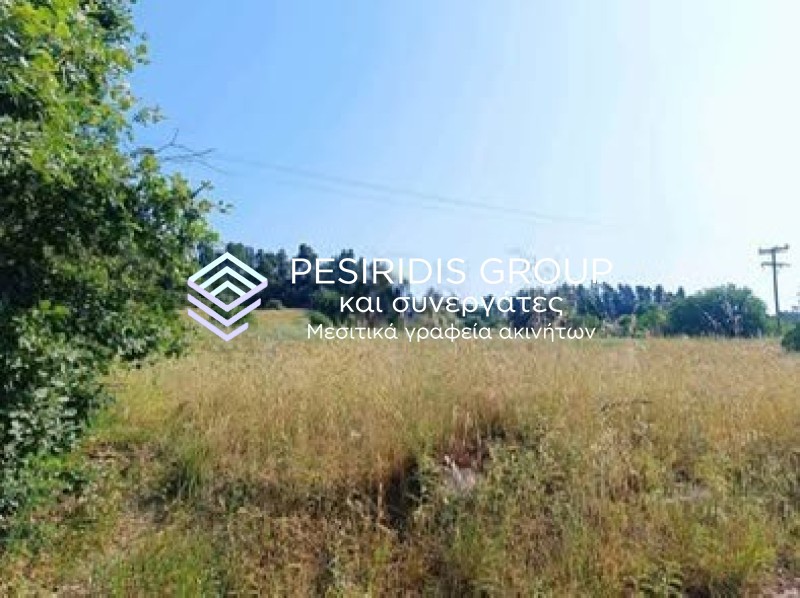 Αγροτεμάχια 7.249 τ.μ. προς πώληση, Κασσανδρηνό