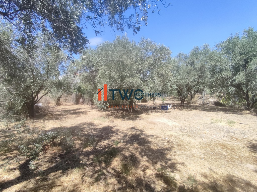 Οικόπεδο 350 τ.μ. πρός πώληση, Μαγνησία, Βόλος