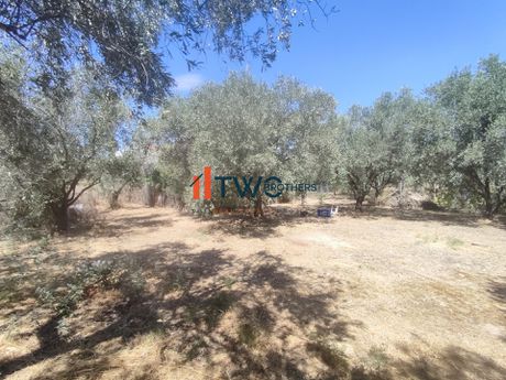 Οικόπεδο 350 τ.μ. πρός πώληση