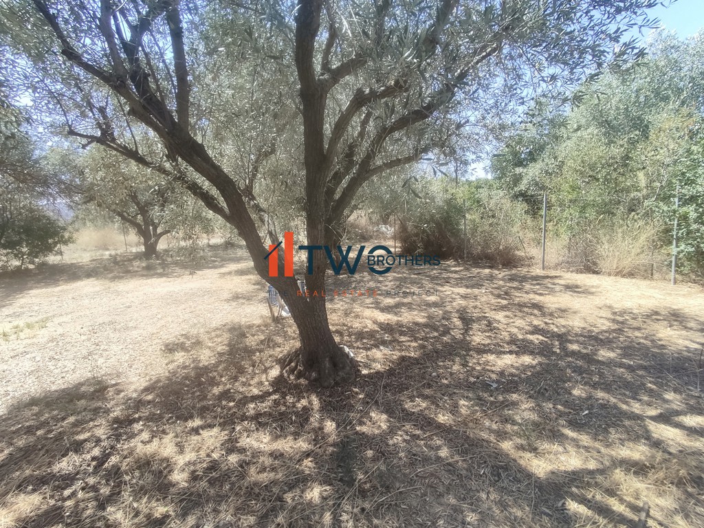 Οικόπεδο 350 τ.μ. πρός πώληση, Μαγνησία, Βόλος