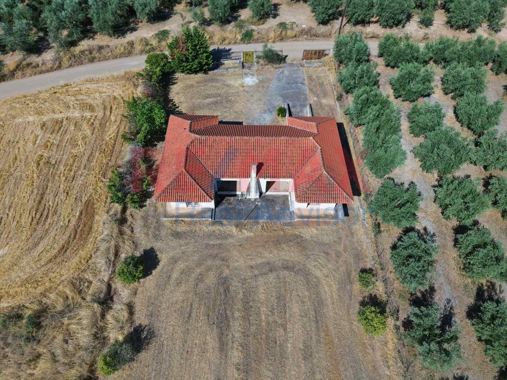 Μονοκατοικία 245 τ.μ. προς πώληση, Δαφνούσες