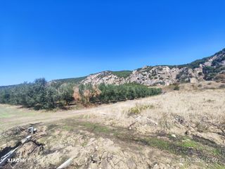 Αγροτεμάχια 10.250 τ.μ. για πώληση, Ν. Καβάλας, Ορφανό-thumb-14