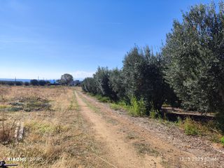 Αγροτεμάχια 10.250 τ.μ. για πώληση, Ν. Καβάλας, Ορφανό-thumb-6