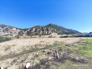 Αγροτεμάχια 10.250 τ.μ. για πώληση, Ν. Καβάλας, Ορφανό-thumb-13