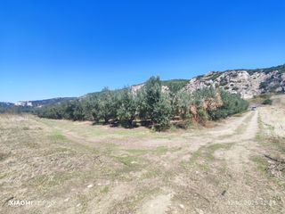 Αγροτεμάχια 10.250 τ.μ. για πώληση, Ν. Καβάλας, Ορφανό-thumb-10