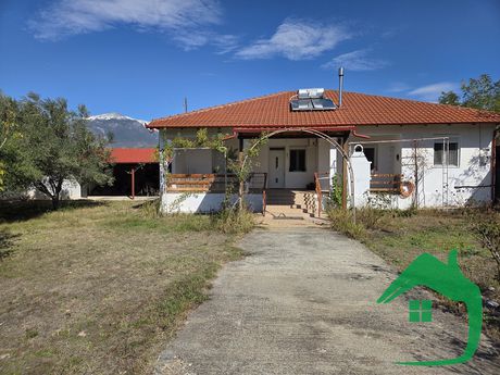 Μονοκατοικία 134τ.μ. για πώληση-Εξαπλάτανος » Κωνσταντία