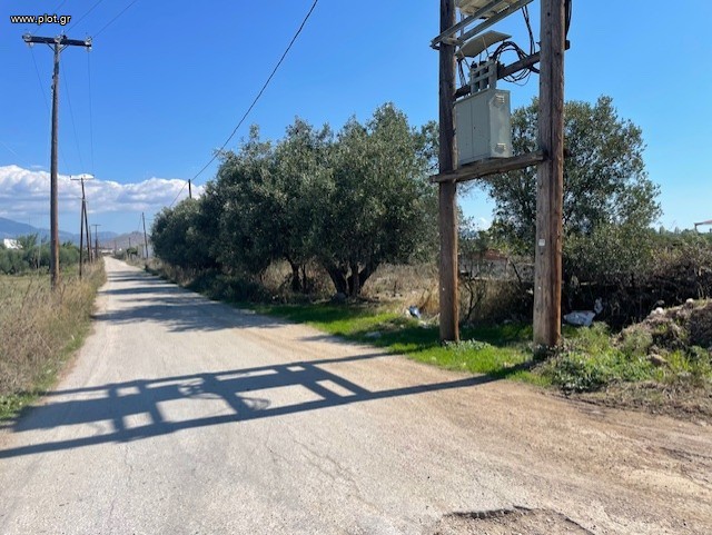 Αγροτεμάχια 4.900 τ.μ. πρός πώληση, Αργολίδα, Νέα Κίος