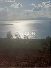 Οικόπεδο 9.000 τ.μ. για πώληση