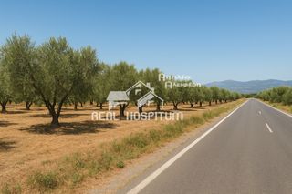 Οικόπεδο 2.776 τ.μ. για πώληση, Μεσσηνία, Θουρία-thumb-1