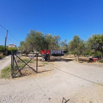 Μονοκατοικία 104τ.μ. για πώληση-Σικυώνα » Μούλκι
