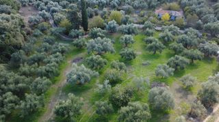 Οικόπεδο 4.553 τ.μ. για πώληση, Μεσσηνία, Νέστορας-thumb-1