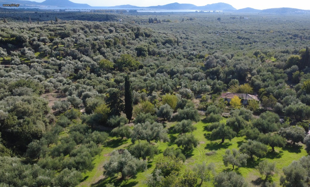 Οικόπεδο 4.553 τ.μ. για πώληση, Μεσσηνία, Νέστορας