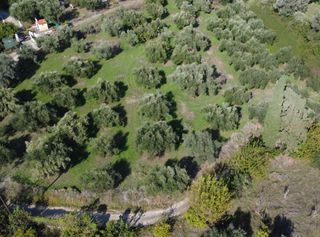 Οικόπεδο 4.553 τ.μ. για πώληση, Μεσσηνία, Νέστορας-thumb-2