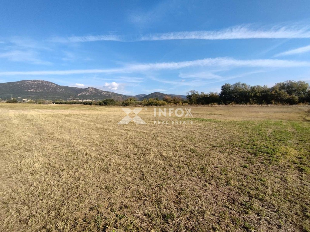 Αγροτεμάχια 3.227 τ.μ. πρός πώληση, Ν. Καβάλας, Χρυσούπολη