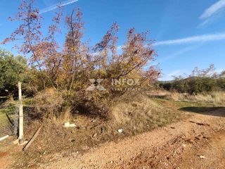 Αγροτεμάχια 1.683 τ.μ. για πώληση, Ν. Καβάλας, Χρυσούπολη-thumb-1