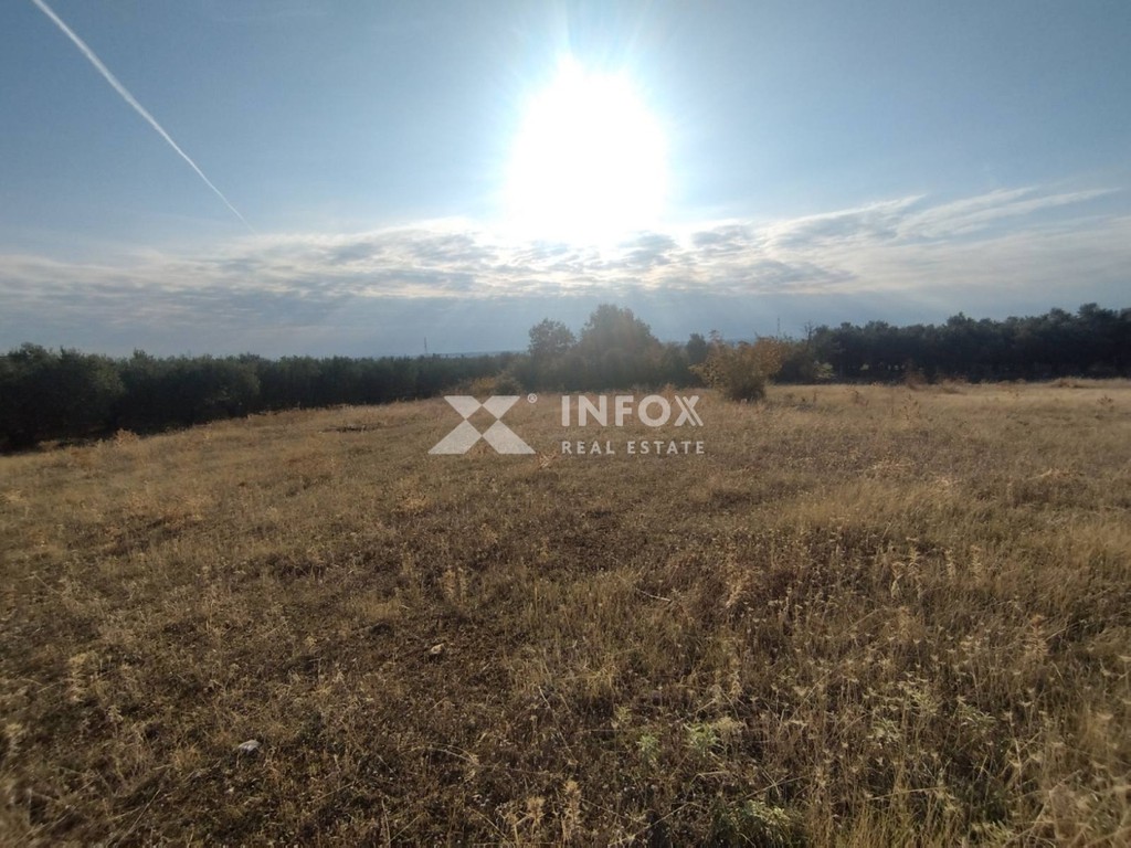 Αγροτεμάχια 1.683 τ.μ. πρός πώληση, Ν. Καβάλας, Χρυσούπολη