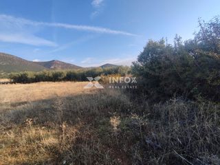 Αγροτεμάχια 1.683 τ.μ. για πώληση, Ν. Καβάλας, Χρυσούπολη-thumb-9