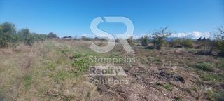 Αγροτεμάχια 6.000 τ.μ. για ενοικίαση, Αχαΐα, Λάρισσος-thumb-4
