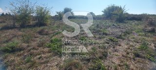 Αγροτεμάχια 6.000 τ.μ. για ενοικίαση, Αχαΐα, Λάρισσος-thumb-7