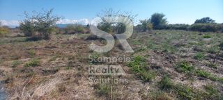 Αγροτεμάχια 6.000 τ.μ. για ενοικίαση, Αχαΐα, Λάρισσος-thumb-8