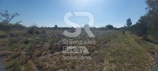 Αγροτεμάχια 6.000 τ.μ. για ενοικίαση, Αχαΐα, Λάρισσος-thumb-2