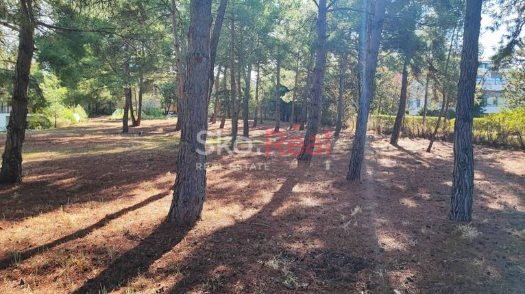 Parcel 2.820 sqm for sale, Thessaloniki - Suburbs, Pylea