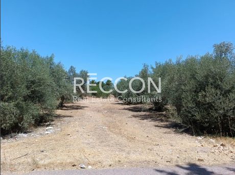 Parcel 3.272sqm for sale-Anthidonos » Drosia