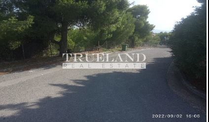 Parcel 7.099,8sqm for sale-Kifisia