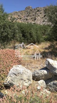 Αγροτεμάχια 7.049τ.μ. για πώληση-Ιεράπετρα » Ανατολή