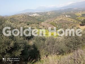 Οικόπεδο 14.000 τ.μ. για πώληση