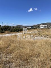 Αγροτεμάχια 9.000 τ.μ. για πώληση
