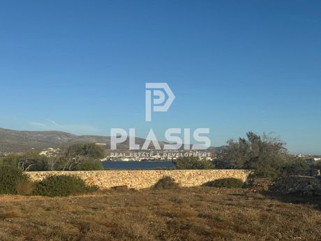 Αγροτεμάχια 9.500τ.μ. για πώληση-Αντίπαρος