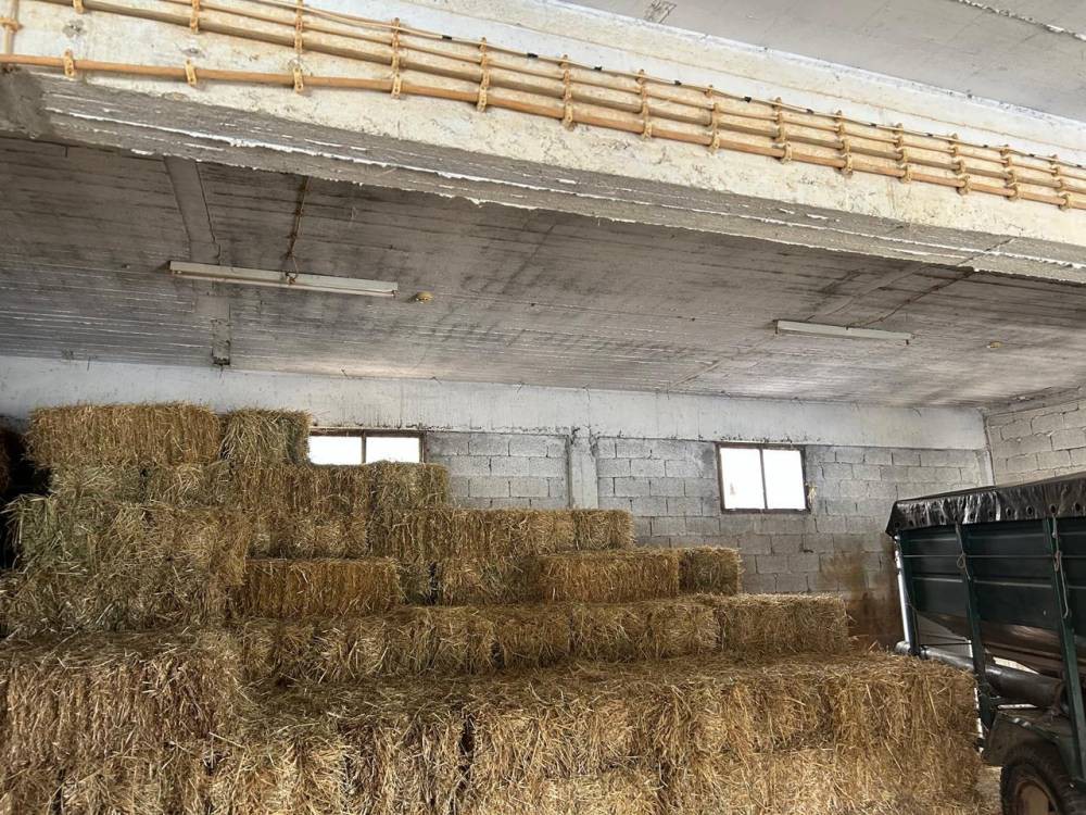 Βιοτεχνικός χώρος 450 τ.μ. πρός πώληση, Κορινθία, Τενέα