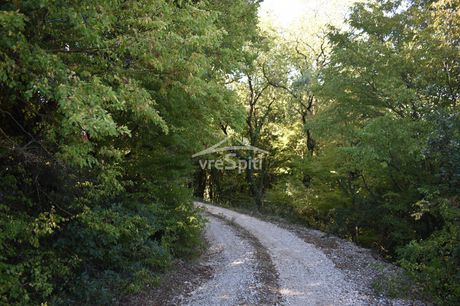Other 6.000sqm for sale-Pamvotida » Drosochori