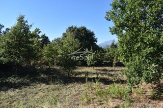 Οικόπεδο 500 τ.μ. προς πώληση, Δροσοχώρι Παμβωτίδας-thumb-10