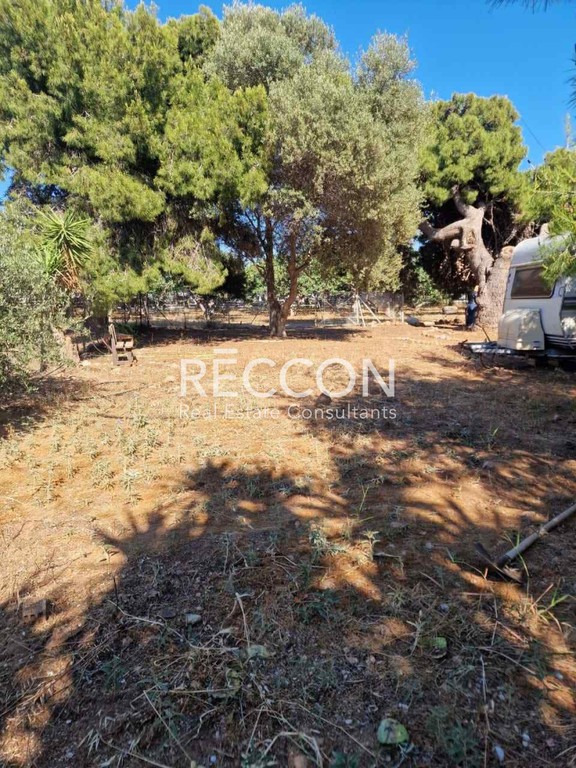 Οικόπεδο 406 τ.μ. πρός πώληση, Αττική - Υπόλοιπο, Ανάβυσσος