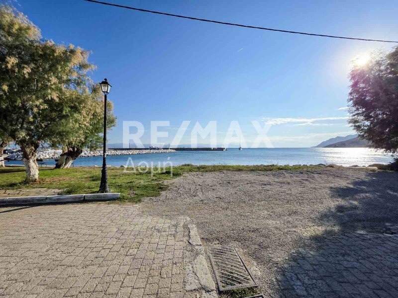 Οικόπεδο 410 τ.μ. πρός πώληση, Μαγνησία, Σηπιάδα