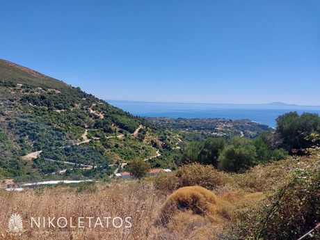 Οικόπεδο 770τ.μ. για πώληση-Κεφαλονιά » Ελειός - πρόννοι