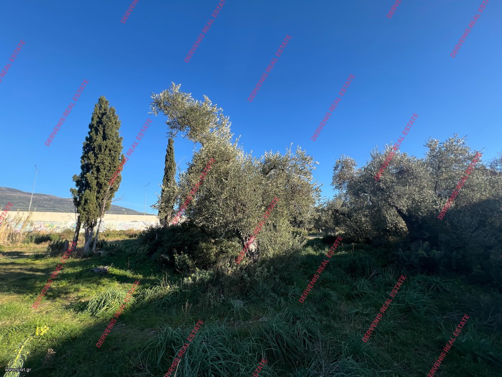 Οικόπεδο 308 τ.μ. πρός πώληση, Μαγνησία, Βόλος