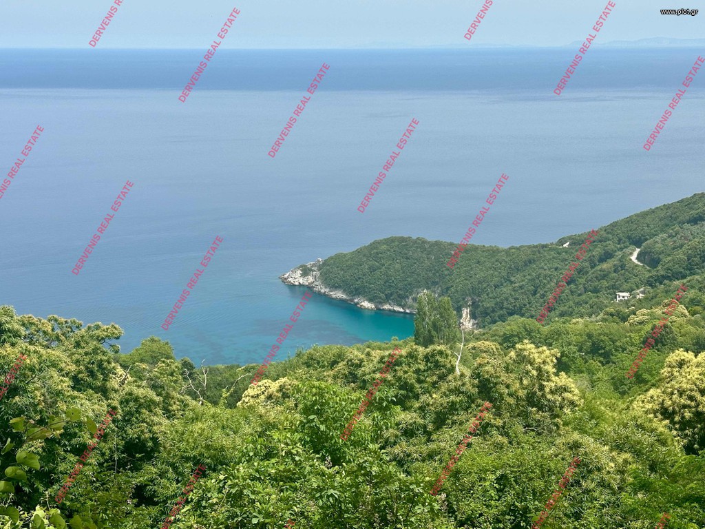 Οικόπεδο 4.400 τ.μ. πρός πώληση, Μαγνησία, Μούρεσι