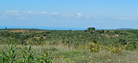 Land plot 1.120sqm for sale-Gargalianoi » Mouzaki