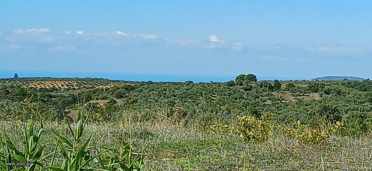 Οικόπεδο 1.120 τ.μ. για πώληση, Μεσσηνία, Γαργαλιάνοι