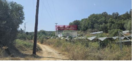 Οικόπεδο 5.216,9τ.μ. για πώληση-Πλατανιάς » Παλαιό γεράνι