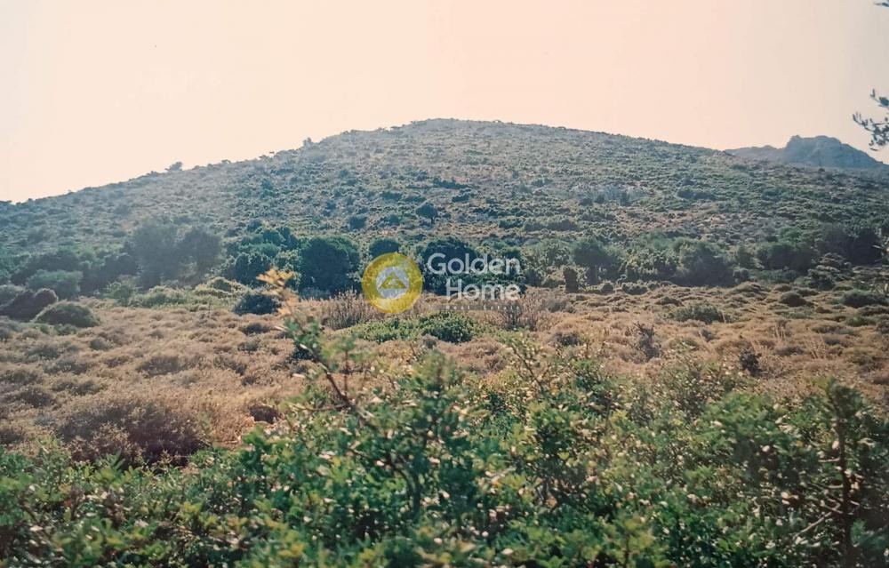 Οικόπεδο 5.336 τ.μ. προς πώληση, Οκτωνιά
