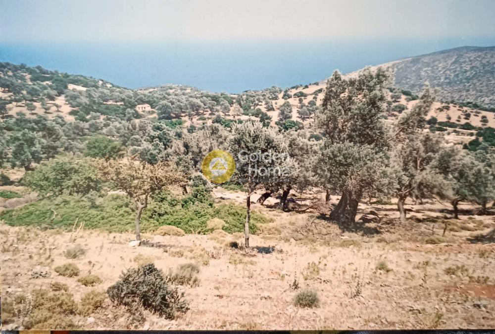 Οικόπεδο 5.336 τ.μ. προς πώληση, Οκτωνιά